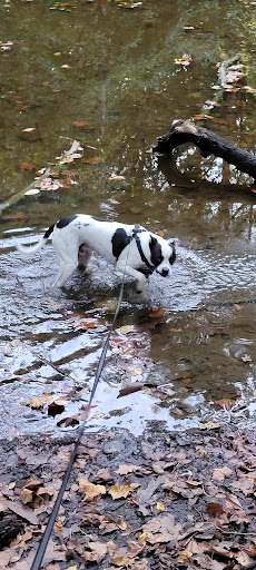 Park «Skiles Test Nature Park», reviews and photos, 6828 Fall Creek Rd, Indianapolis, IN 46220, USA