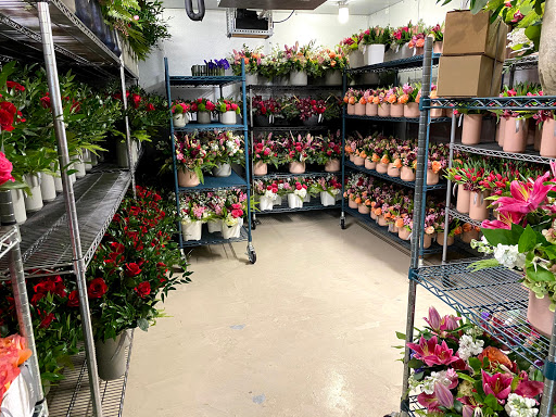 Florist «King florist of Austin», reviews and photos, 1806 W Koenig Ln, Austin, TX 78756, USA