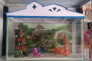 Sri vasavi pet store & Aquariums image