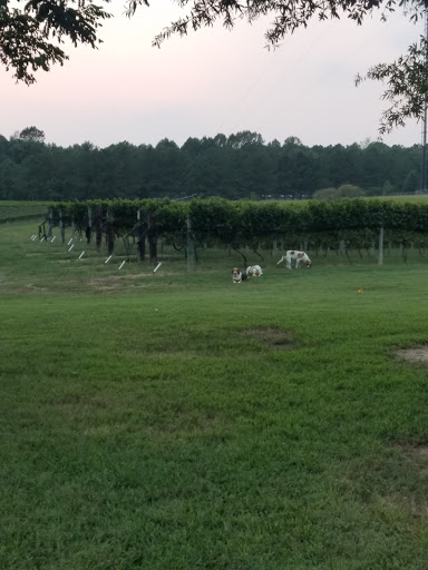 Winery «Good Luck Cellars», reviews and photos, 1025 Goodluck Rd, Kilmarnock, VA 22482, USA