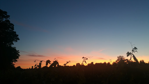 Vineyard «Crossing Vineyards and Winery», reviews and photos, 1853 Wrightstown Rd, Newtown, PA 18940, USA