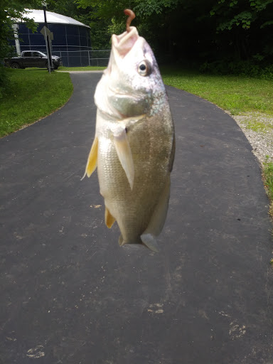 Park «Labo Park», reviews and photos, 22215 S Huron River Dr, Rockwood, MI 48173, USA