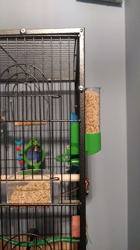 Pet Supply Store «Petco Animal Supplies», reviews and photos, 330 Orchard Park Rd, West Seneca, NY 14224, USA