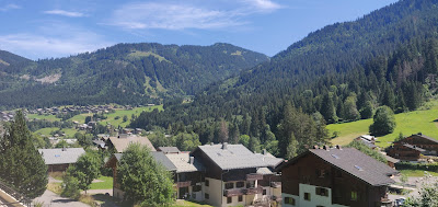 CHALET L ETRYE à Châtel