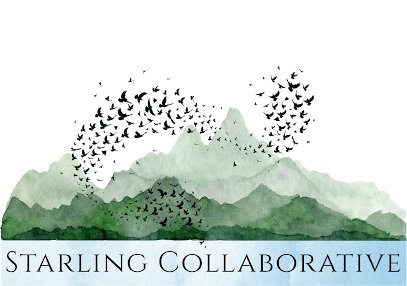 Starling Collaborative