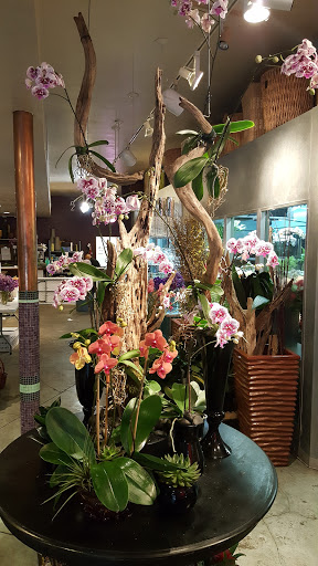 Florist «Pistils & Petals», reviews and photos, 1060 Alton Rd, Miami Beach, FL 33139, USA