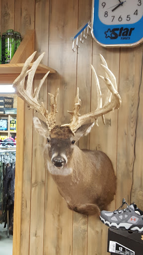 Tire Shop «Roberson Tire Services Inc», reviews and photos, 4 Bruce St, Morrilton, AR 72110, USA