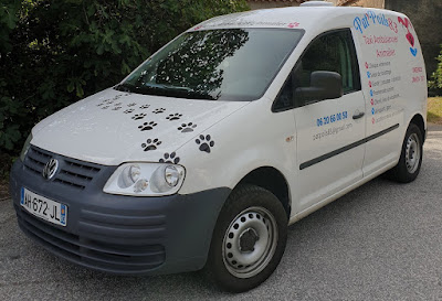 Pat'Poils 83 - Ambulance et taxi animalier à Camps-la-Source