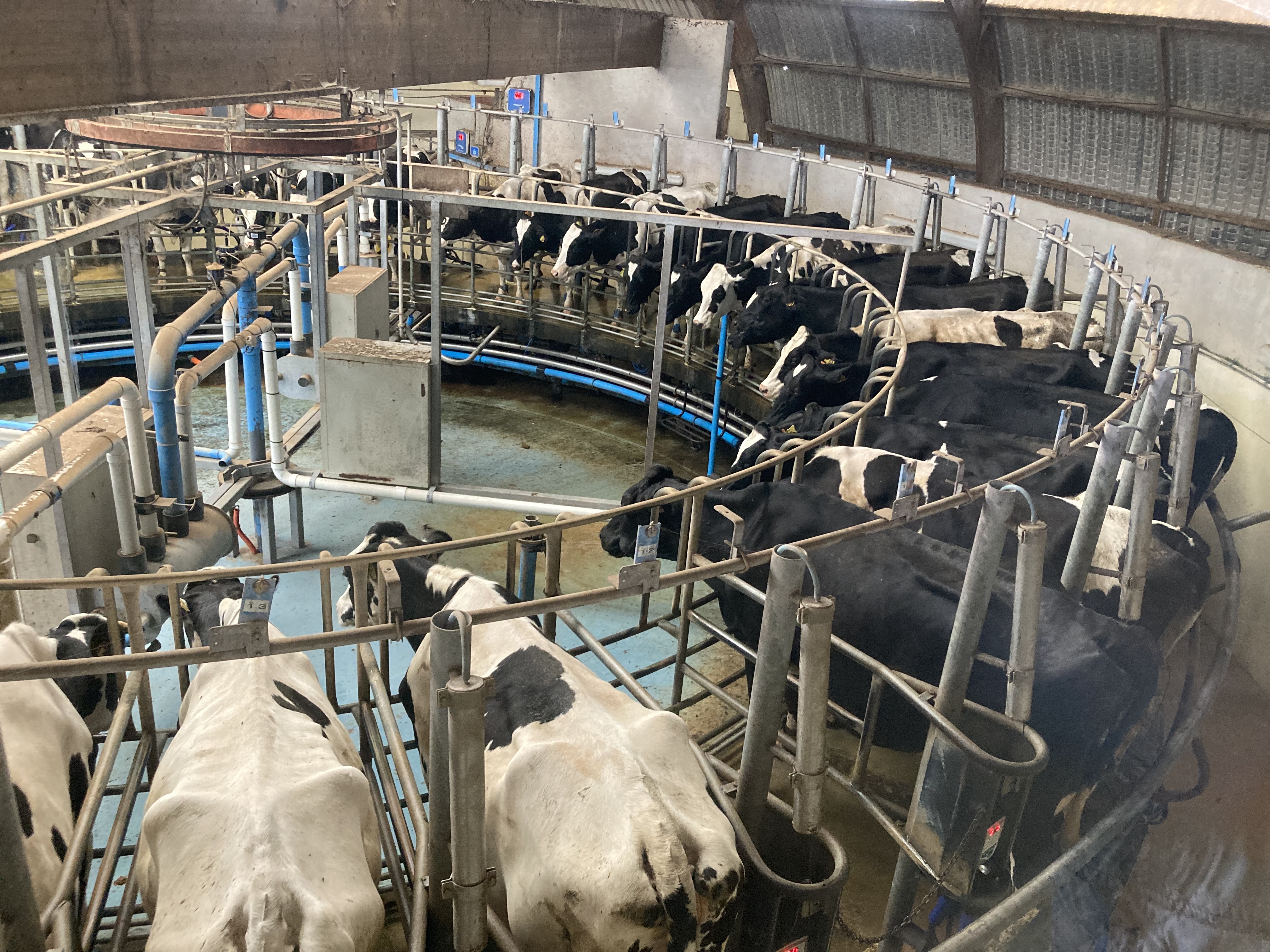 Photo n° 1 de l'avis de le.o fait le 29/05/2022 à 13:53