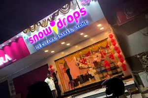 Snow Drops image