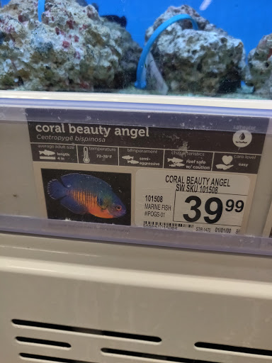 Pet Supply Store «Petco Animal Supplies», reviews and photos, 3194 FM407, Highland Village, TX 75077, USA