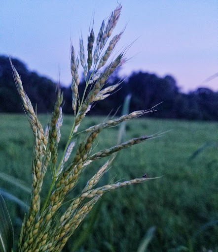 Nature Preserve «Sweet Arrow Reserve», reviews and photos, 789 Little Sugarcreek Rd, Sugarcreek Township, OH 45440, USA