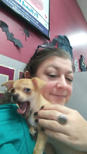 Pet Store «Petland», reviews and photos, 920 Hebron Rd, Heath, OH 43056, USA