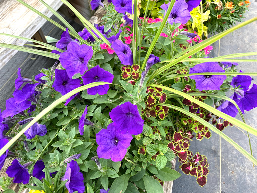 Market «Bedford Farmers Market», reviews and photos, 2824 Brown Trail, Bedford, TX 76021, USA