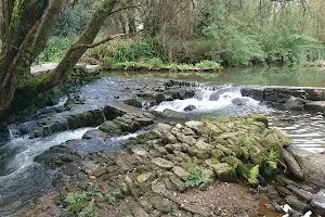 Río Sar - Pontepedriña image