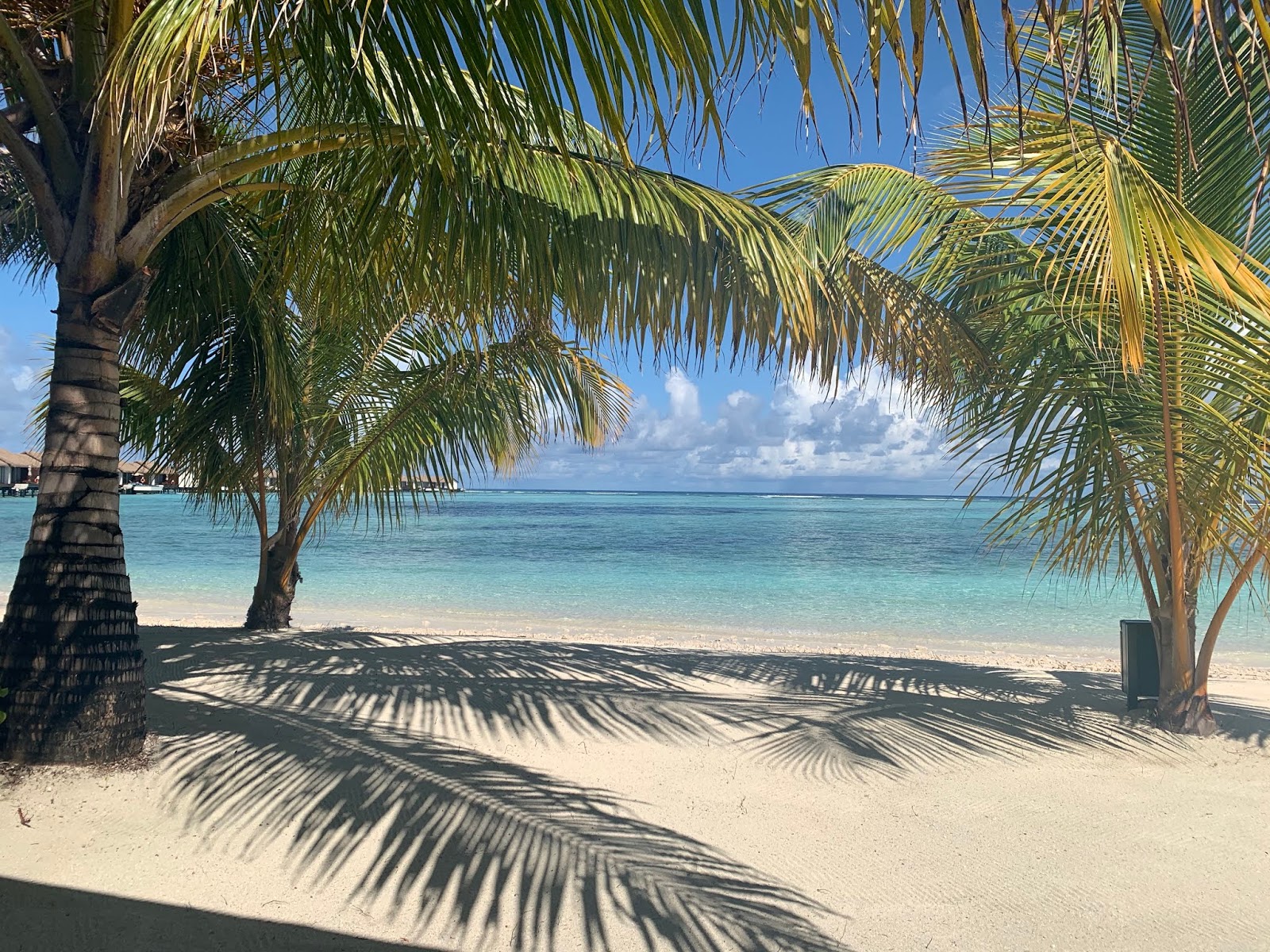 Foto von Falhumaafushi Resort Beach hotelbereich