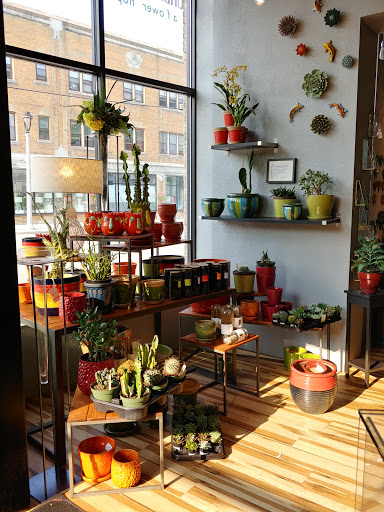 Florist «Urban Sense», reviews and photos, 5402 W Vliet St, Milwaukee, WI 53208, USA
