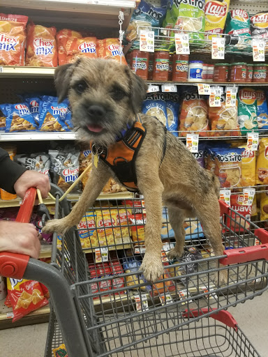 Supermarket «Tops», reviews and photos, 16 W Main St, Hancock, NY 13783, USA