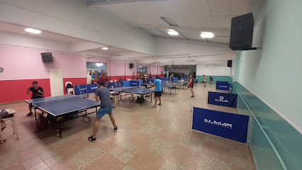 Italiano TDM (tenis de Mesa, Ping Pong)