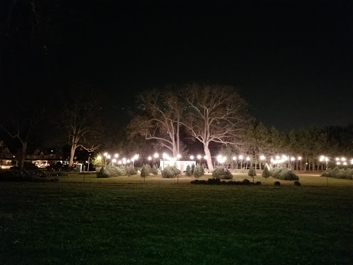 Grocery Store «Stop & Shop», reviews and photos, 219 Elm St, Westfield, NJ 07090, USA