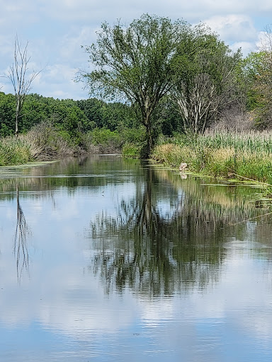 Park «Algonac State Park», reviews and photos, 8732 N River Rd, Marine City, MI 48039, USA