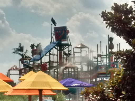 Water Park «Hawaiian Falls Roanoke», reviews and photos, 290 Byron Nelson Blvd, Roanoke, TX 76262, USA