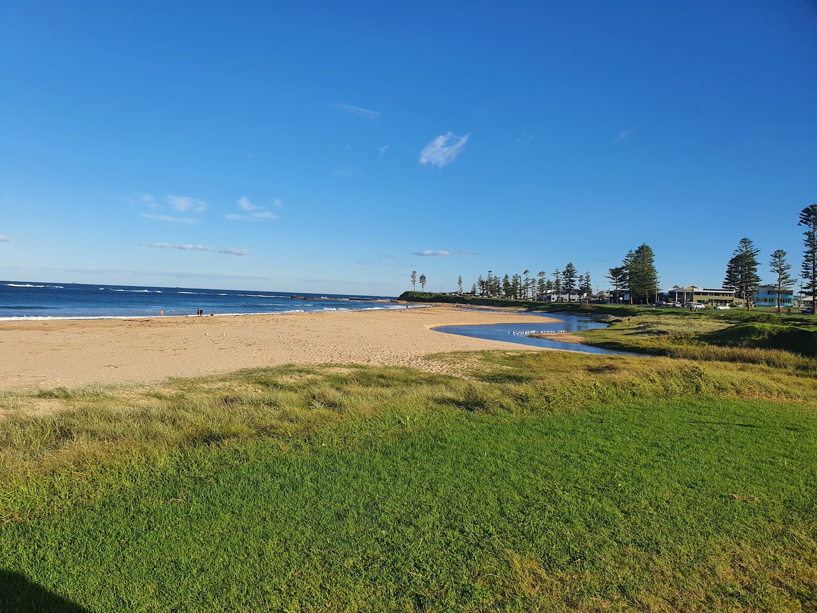 Bulli Beach photo #6