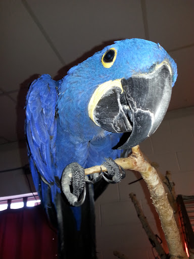 Pet Store «Critter Mart & More», reviews and photos, 3 10th St NW, Watertown, SD 57201, USA