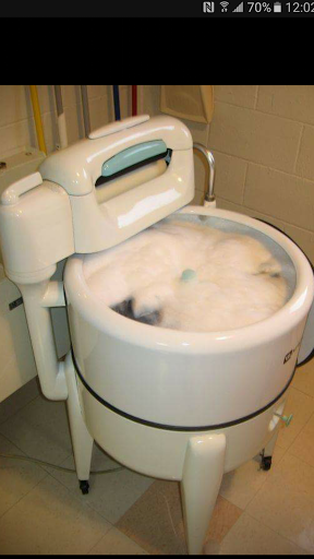 Appliance Store «Budget Appliances & Mattresses», reviews and photos, 12070 Greenfield Rd, Detroit, MI 48227, USA