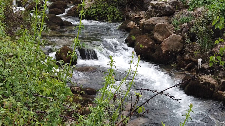 Vidéos hôtels El Molino Del Santo 29007 Málaga