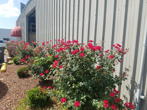 Auto Body Shop «Swope Collision Center and Body Shop», reviews and photos, 1102 N Dixie Hwy, Elizabethtown, KY 42701, USA