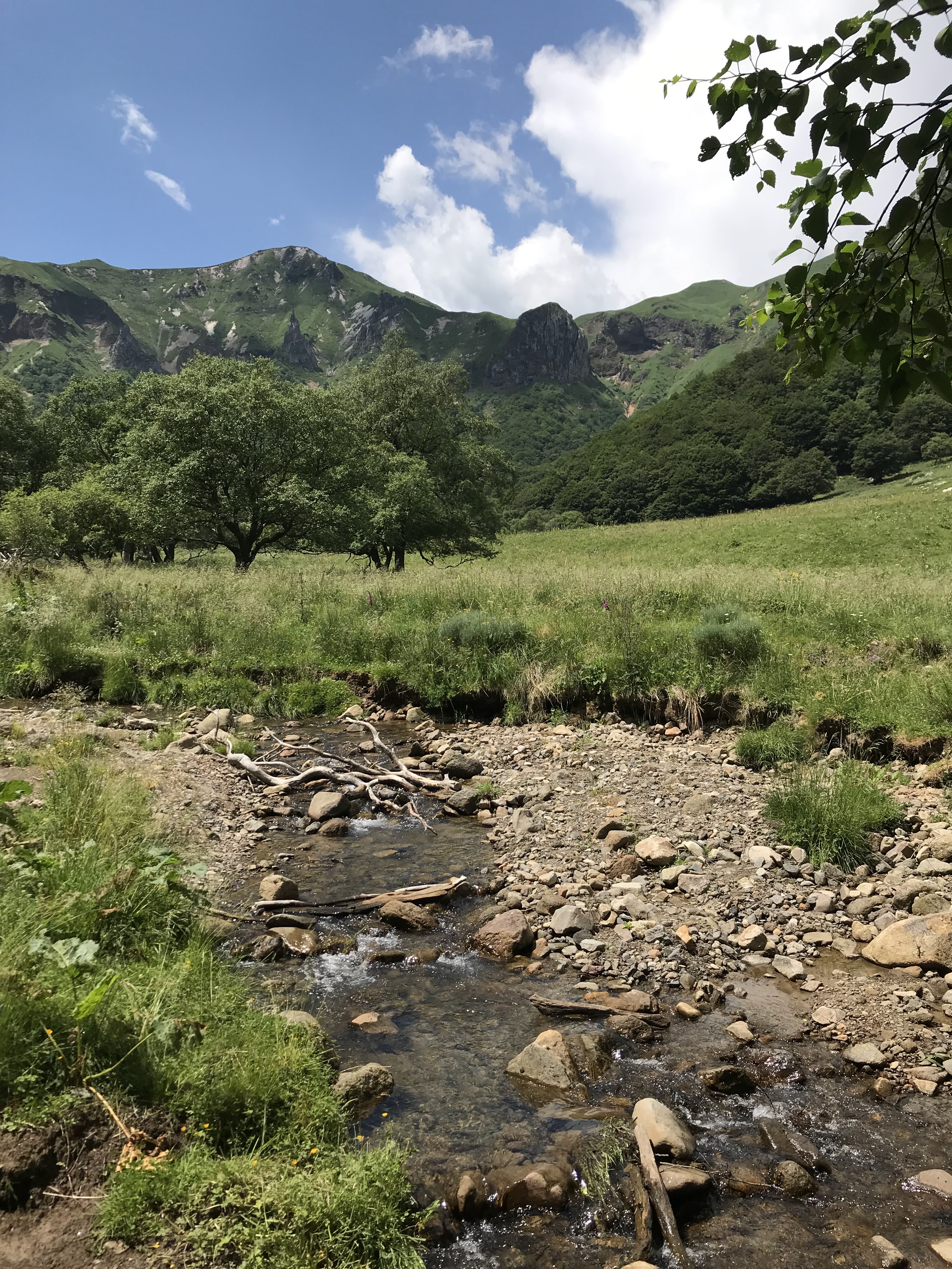Photo n° 10 de l'avis de thierry.h fait le 10/07/2019 à 11:38