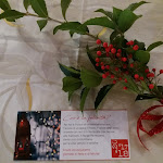 Photo n°1 de l'avis de giancarlo.o fait le 29/12/2017 à 22:54 sur le  Borgo Ramezzana Country House à Trino