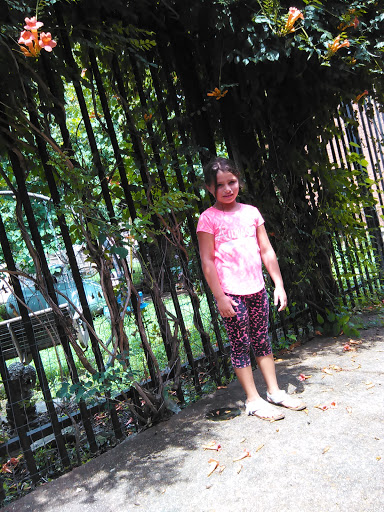 Antique Store «Downtown Antiques Mall», reviews and photos, 1 Court Square, West Plains, MO 65775, USA