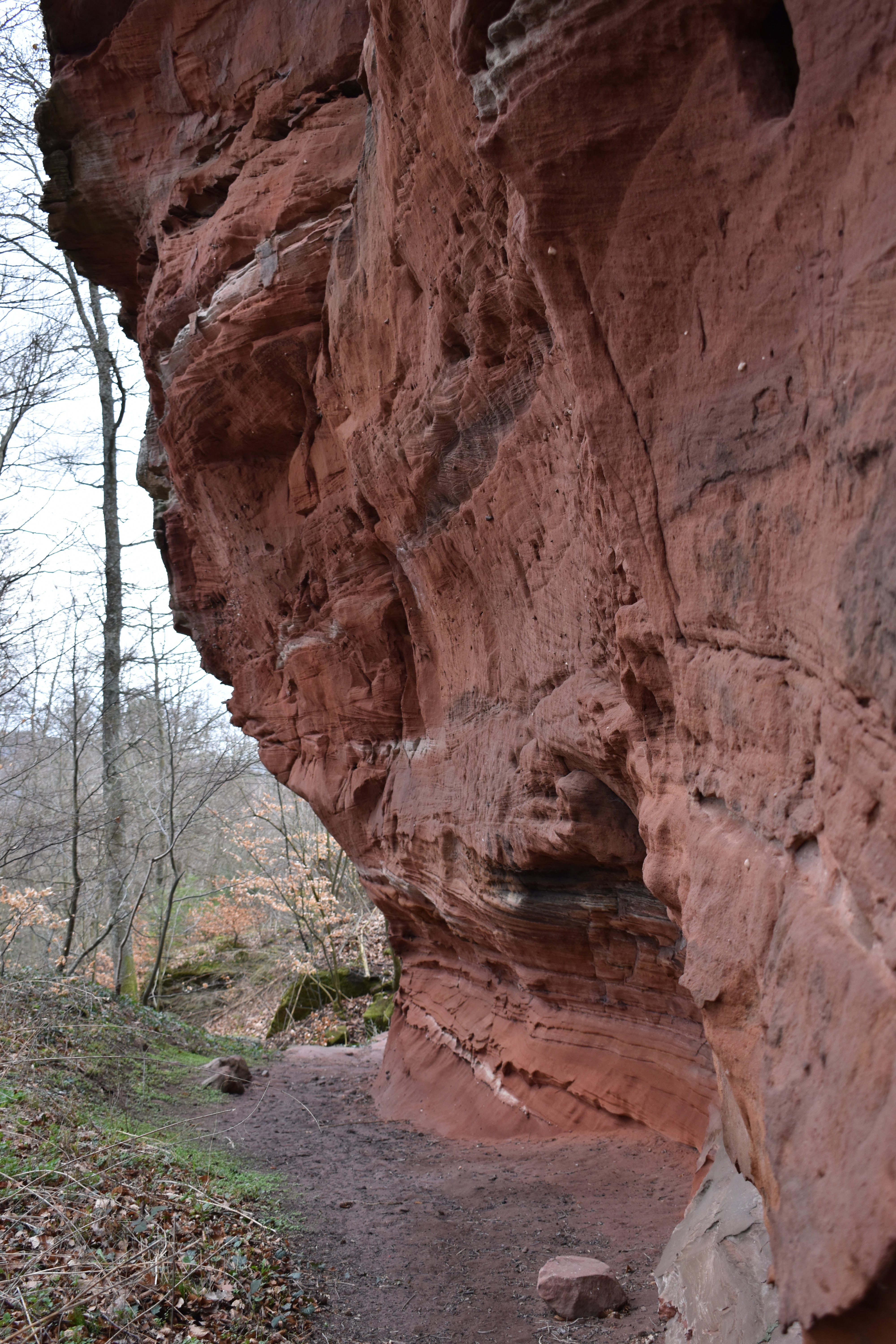 Photo n° 1 de l'avis de raphael.o fait le 03/03/2019 à 18:51