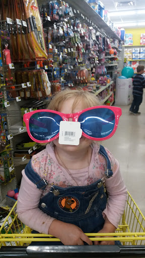 Discount Store «Dollar General», reviews and photos, 6775 N Main St, Camden, OH 45311, USA