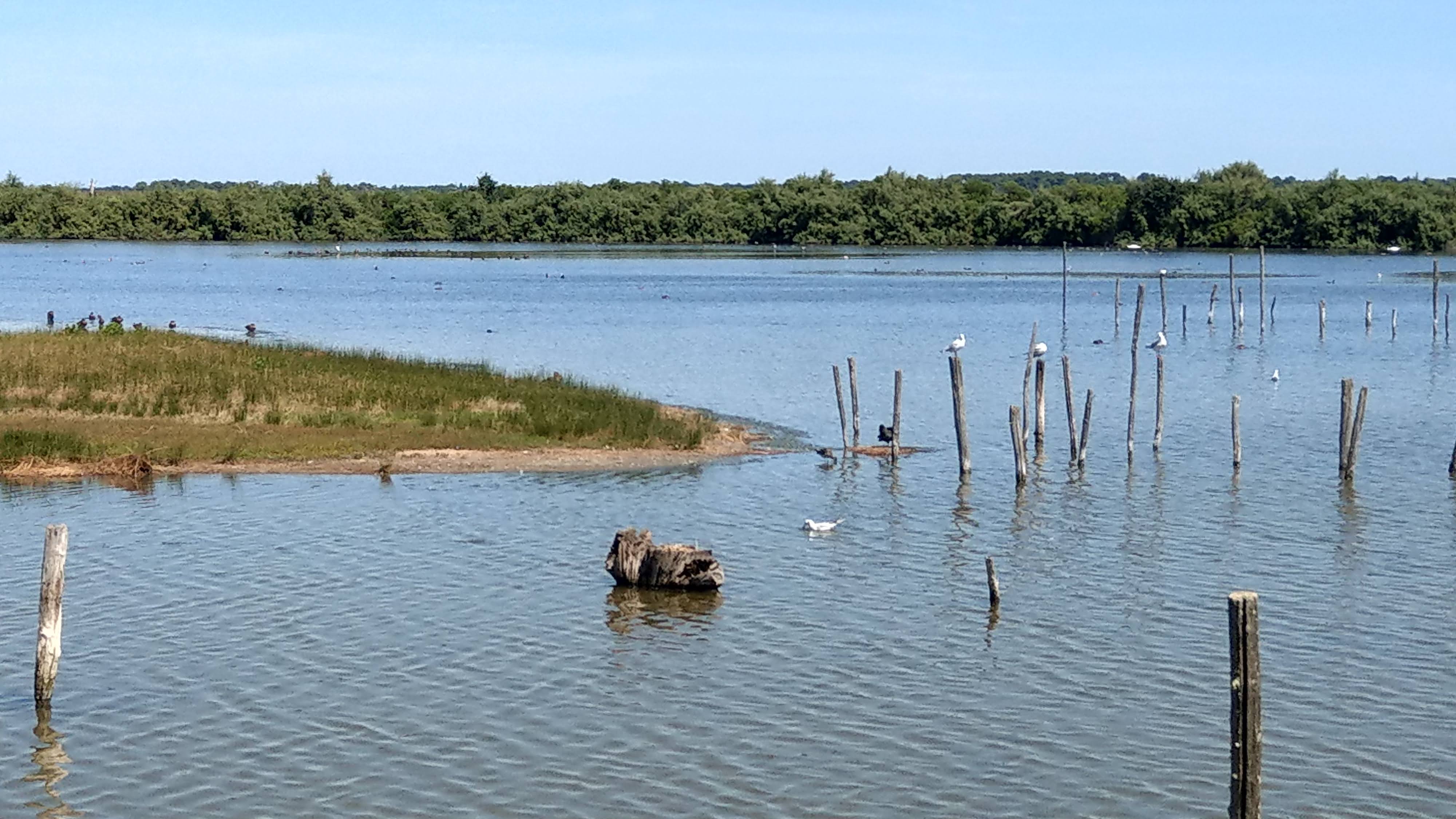Photo n° 7 de l'avis de P..i fait le 11/08/2018 à 15:53