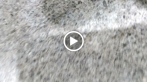 Cosmetics Store «SEPHORA», reviews and photos, 4236 Legendary Dr, Destin, FL 32541, USA