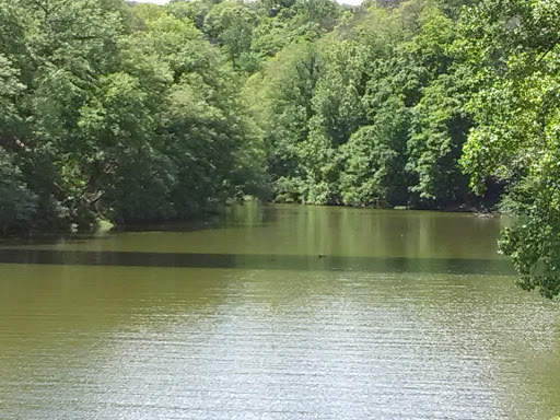 State Park «Bear Mountain State Park», reviews and photos, Route 9W North, Bear Mountain, NY 10911, USA