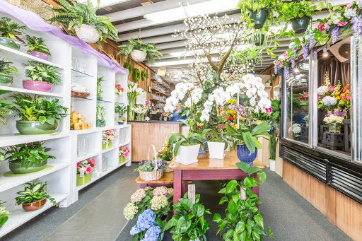 Florist «Blossom Flower Shops», reviews and photos, 275 Mamaroneck Ave, White Plains, NY 10605, USA