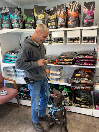 T&D Forever Home Training at The Dog Lounge