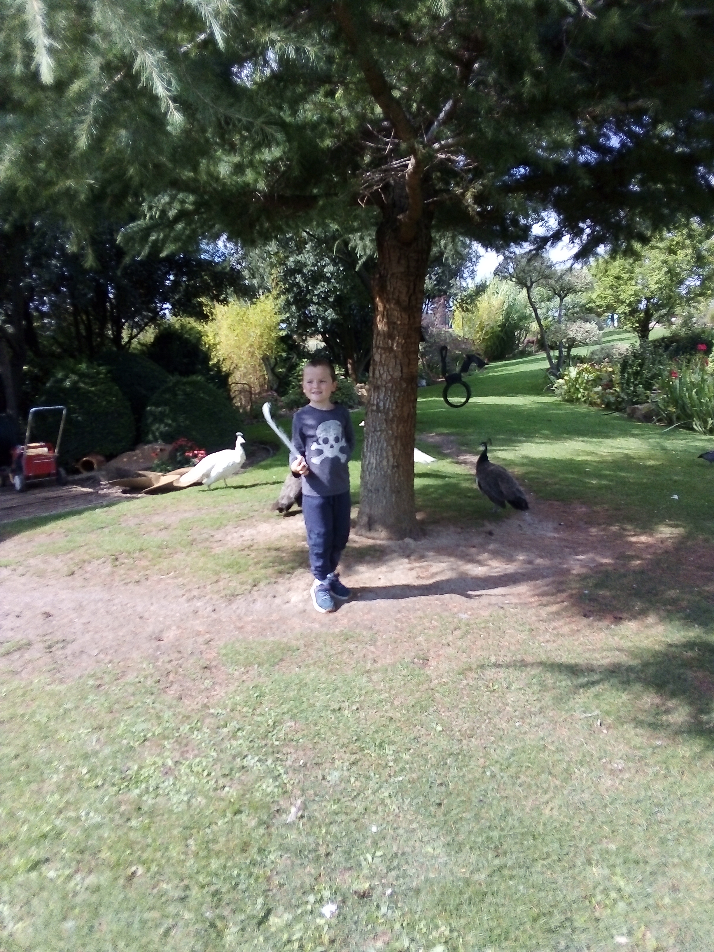 Photo n° 3 de l'avis de Stéphane.E fait le 10/09/2022 à 17:28
