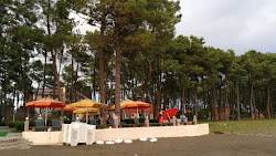 Zdjęcie Grigoleti beach położony w naturalnym obszarze