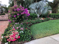 Quietscapes Landscaping - Photo 4 - Car repair in , Port St. Lucie