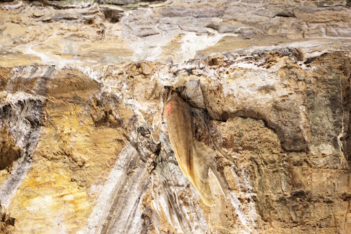 Nature Preserve «Crystal Cave», reviews and photos, 963 Crystal Cave Rd, Kutztown, PA 19530, USA