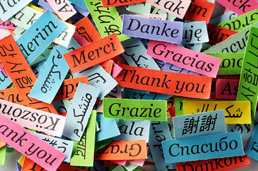 Appliance Store «American-Dix Appliance Services», reviews and photos, 3311 Dix Hwy, Lincoln Park, MI 48146, USA