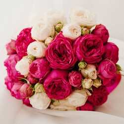 Florist «BunchesDirect», reviews and photos, 7068 NW 50th St, Miami, FL 33166, USA