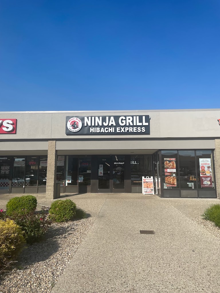 Ninja grill hibachi express 45251