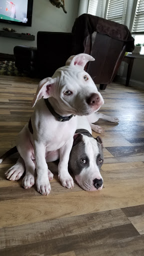 91 W State Hwy U, Troy, MO 63379, USA