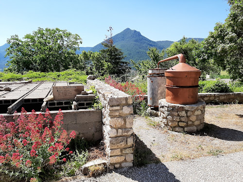 Lodge Gîte des Tilleuls - GR 91 Lemps